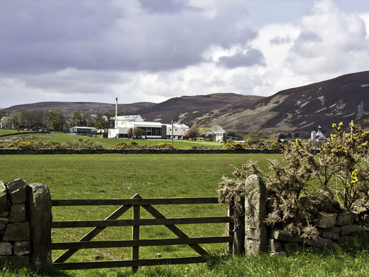 CLYNELISH